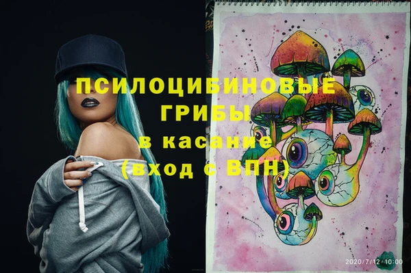 2c-b Осинники