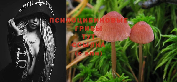 2c-b Осинники