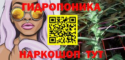 гашик Заволжье