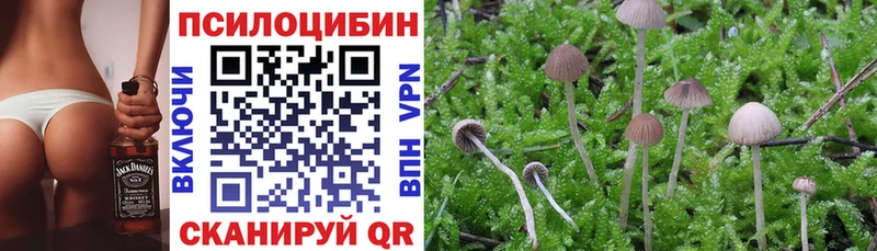дарк нет официальный сайт  кракен ONION  Псилоцибиновые грибы Cubensis  Соликамск  где найти наркотики 