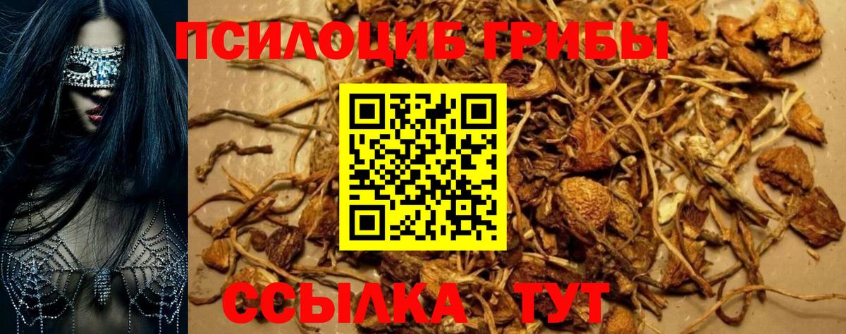 Галлюциногенные грибы Magic Shrooms  Вход с VPN  Соликамск  Псилоцибиновые грибы Psilocybe 