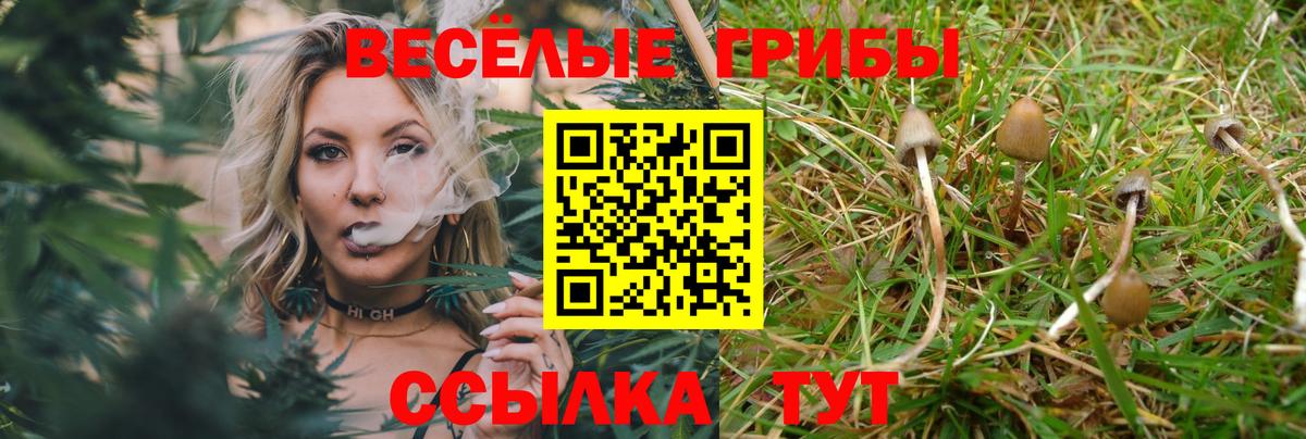 Галлюциногенные грибы Psilocybine cubensis Соликамск